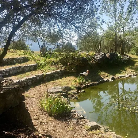 Aspilon Villa