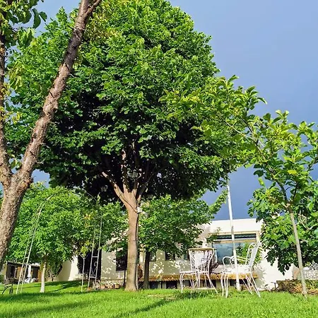 Вилла Aspilon Драма